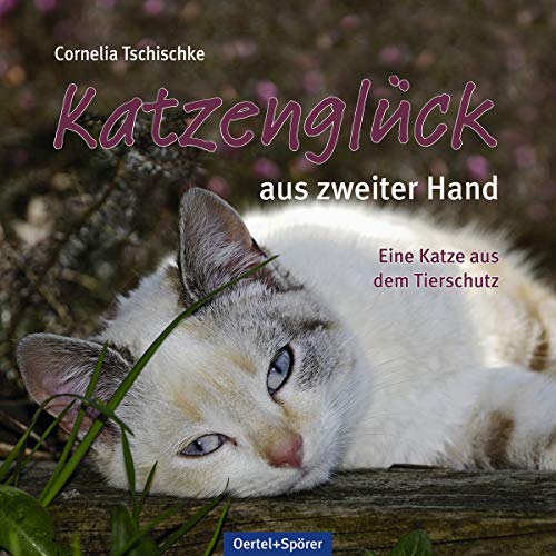 Katzenglück aus zweiter Hand: Eine Katze aus dem Tierschutz., 12.95