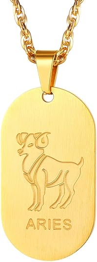 Stainless Steel Zodiac Star Sign Constellation Horoscope Pendant Necklace Idea Men Women