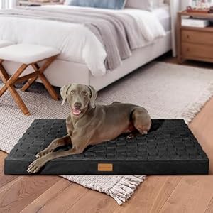 Patas-Lague-Checkered-Orthopedic-XXL-Dog-Bed-for-Extra-Large-Dogs-48X30-Waterproof-Big-Large-Dog-Beds-with-Removable-Washable-CoverEgg-Crate-Foam-Pet-Bed-Mat-with-Nonskid-Bottom-Black - Cucciolini Doodles   Patas-Lague-Checkered-Orthopedic-XXL-Dog-Bed-for-Extra-Large-Dogs-48X30-Waterproof-Big-Large-Dog-Beds-with-Removable-Washable-CoverEgg-Crate-Foam-Pet-Bed-Mat-with-Nonskid-Bottom-Black