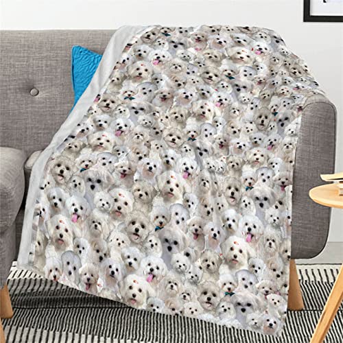 Cute Maltese Dog Blanket - Mom & Dog Lover Gift, Funny Full Face Design, Soft Fleece Throw for Couch & Bed