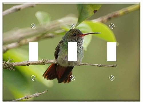 Switch Plate Triple Toggle - Fauna Nature The India Quindio