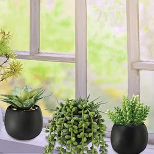 Winlyn Set of 3 Artificial Succulents Plants in Black Cement Planters Faux Potted Plants Aloe String of Pearls Donkey Tail Small House Plants 5" Tall for Table Shelf Home Office Bathroom Living Room Winlyn Set of 3 Artificial Succulents Plants in Black Cement Planters Faux Potted Plants Aloe String of Pearls Donkey Tail Small House Plants 5 Tall for Table Shelf Home Office Bathroom Living Room