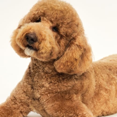 Tangle Teezer Pet Teezer Entwirrungsbürste für kleine Hunde – Hundebürste für Trocken- oder Badegebrauch – Die perfekte Bürste für Hunde – Lila & Gelb