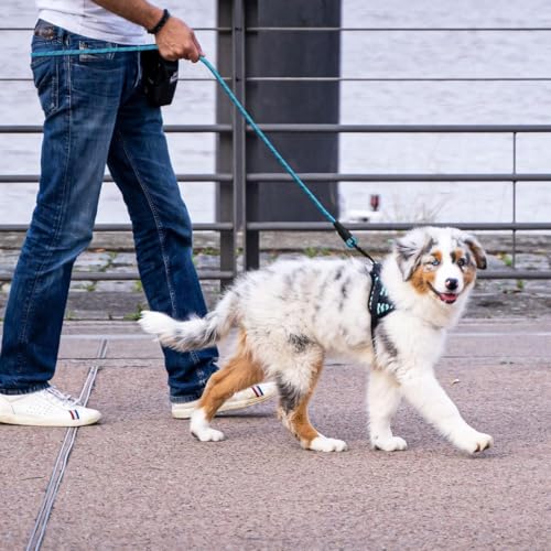 Image of PAWPRO HANDMADE 5 Ft Heavy‑Duty Reflective Dog Leash - Soft Padded Handle + 360 Swivel Clip - Strong Nylon Rope, Tangle‑Free, Safe Night Walks - Ideal for, Medium & Large Dogs (Aqua Woof, 5 Feet)