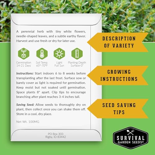 Thyme Seeds for Planting Indoors or Outdoors – English Thyme Seeds (Thymus Vulgaris) for Home Herb Gardens, Pots, and Kitchen Windowsills – Heirloom, Non-GMO – Survival Garden Seeds (1 Pack) - Image 2