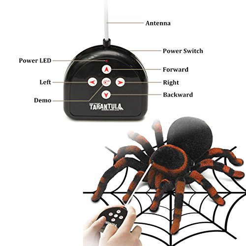 MECO Giocattolo Spider Telecomando Giocattolo per
