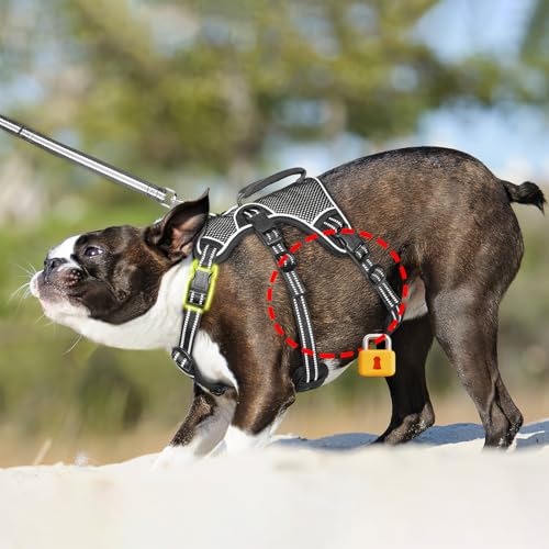Image of HEELE Dog Harness, Escape Proof Dog Harness, Release on Neck, No Pull Reflective Adjustable Vest with Durable Handle, Dog Harness for Outdoor Training Walking, Dog Harness for Large /Active Dogs, L
