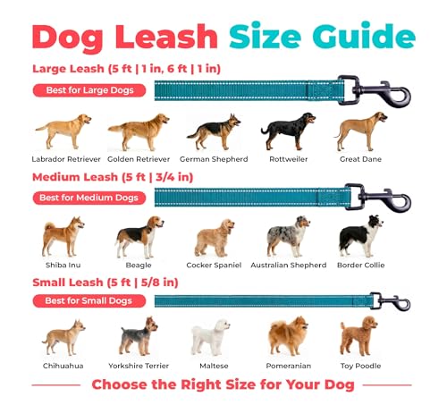 Image of Best Pet Supplies Voyager Reflective Dog Leash or Collar with Neoprene Handle, for Small, Medium, and Large Breed Puppies, Cute and Heavy Duty for Walking, Running and Training - Turquoise (Leash), L