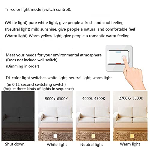 Plafonnier aluminium tricolore 24W : la solution idéale pour plafond bas - 3