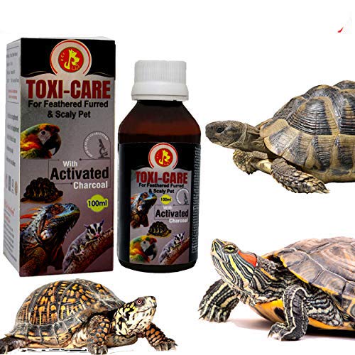 Pet Care International (PCI) Toxi-Care Provide Essential Detoxification for Healthy Turtle & Tortoise Healthcare (100ml)