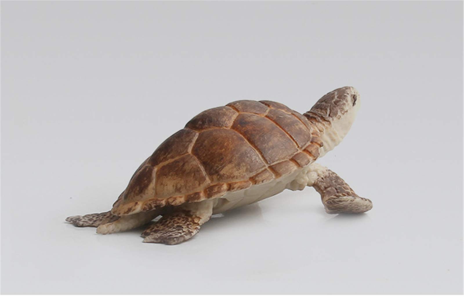 ウミガメの模型 レプリカ 海洋生物模型 Amazon.co.jp: Eden Toys 海洋動物 魚類 フィギュア おもちゃ