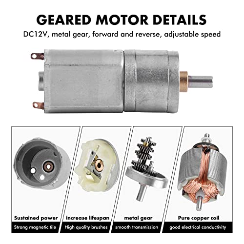 DEWIN Motoriduttore DC 12V, Motoriduttore