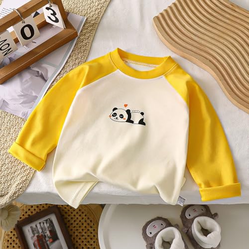 Boys Girls Cotton Sweatshirt Kids Cute Graphic Long Sleeve T Shirts Casual Crewneck Color Block Tee Shirts Birthday Outfits2