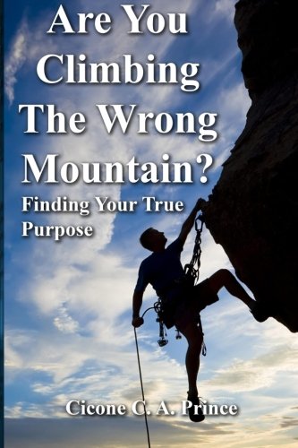 Are You Climbing The Wrong Mountain?: Finding Y... 1519146132 Book Cover
