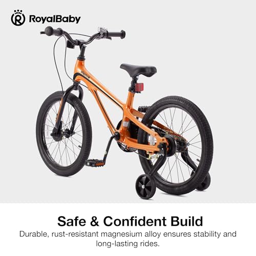 Image of RoyalBaby Kids Bike Lightweight Magnesium Alloy, 14 16 18 Inch Children's Bicycle for Boys Girls Ages 3-9