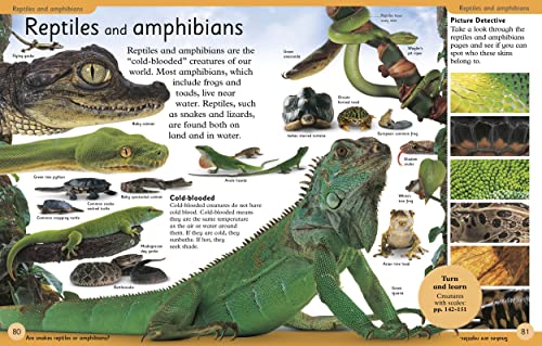 First Animal Encyclopedia: A First Reference Guide to the Animals of the World 5 51Jw8OQkgOL