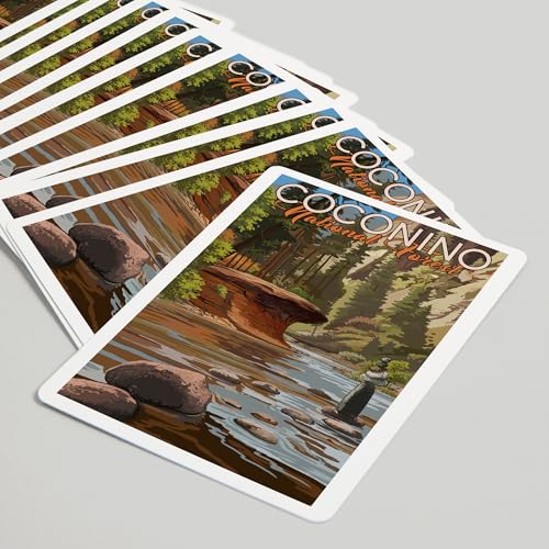 Baraja de Cartas Lantern Press Coconino Poker 52 Pzs miniatura 5