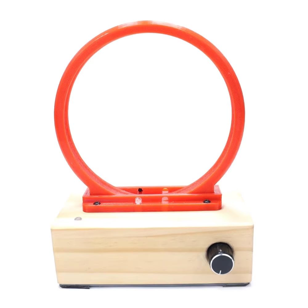 Toplionace DIY Perpetuum Mobile Modell - Experimentierkasten für Elektromagnetische Physik, Handgefertigtes Mint Lernspielzeug