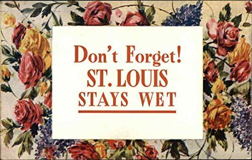 Don't Forget! St. Louis stays wet Flowers Original Antique Postcard 1909