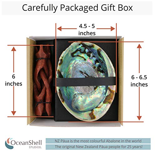 Ocean Shell Studios. 6-6.5 Inches Supreme Natural Abalone (Pāua) Shell With Stand, For Smudging, Cleansing Home, Meditation, Shell Crafts,Incense Holder, Home Décor, 100% Natural, Sustainable. #TOP1