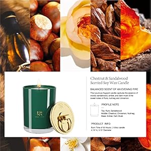Esnahomeluxuryscentedcandlesaromatherapynaturalsoy88oz50hourslongburningcandleslavenderessentialoilsstressreliefsandalwoodcandlesforhomescentedhousewarminggift Urban Country Home Decor Esna home luxury scented candles aromatherapy natural soy 88oz 50 hours long burning candles lavender essential oils stress relief sandalwood candles for home scented housewarming gift urban country home decor