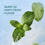 Covergirl Clean Fresh Yummy Plumper Lip Gloss, 760 Snow Place Like Home, Shiny, Vegan Formula, Easy to Apply, Minty Flavor, 0.33oz - Image 5