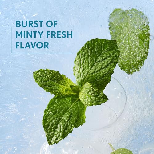 Covergirl Clean Fresh Yummy Gloss, 800 Minter Is Coming - Vegan Volumizing Minty Lip Plumper, 0.33oz