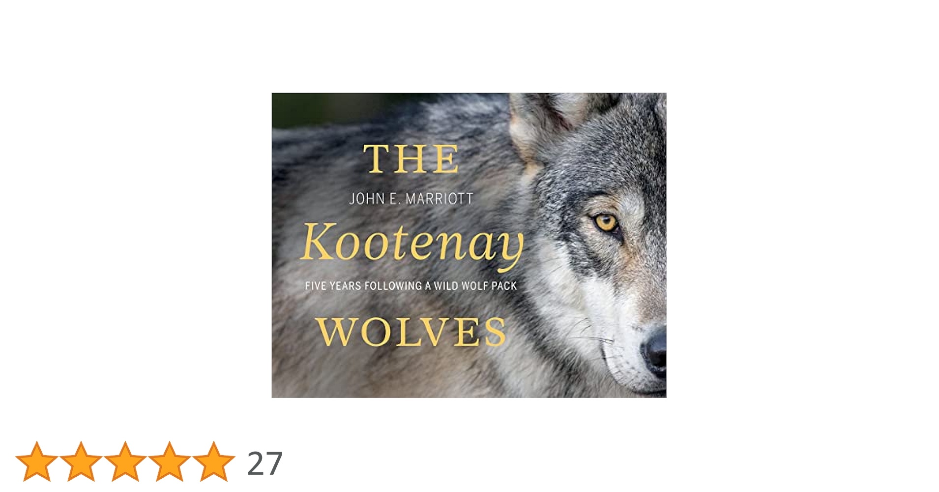 英7” The Wolves Now 7N15733 Pye Records /00080 英7” The Wolves Now 7N15733 Pye Records /00080 45cat - The