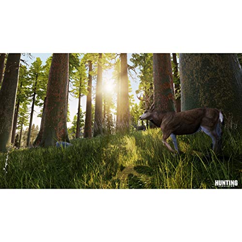 Maximum Entertainment 791397 Hunting Simulator - Playstation 4 thumb #1