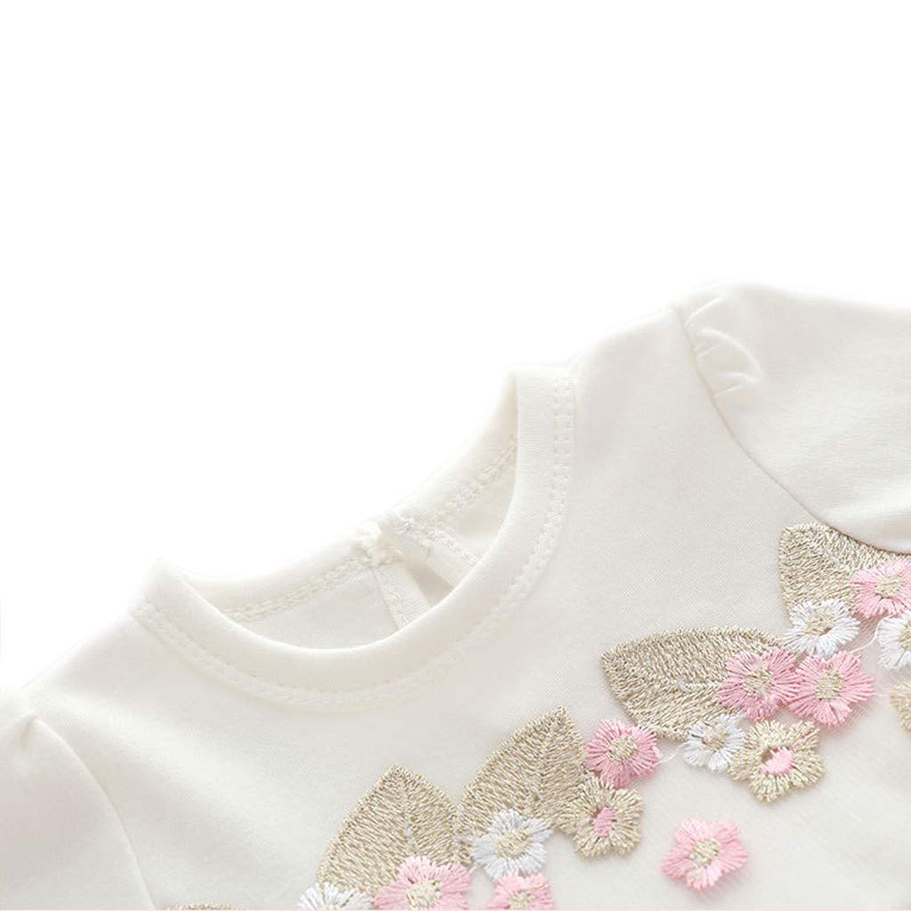 Baby Mädchen Frühling und Herbst SpitzeStrampler Baby Mädchen Sommer Spitze Einfarbig Tutu Prinzessin Kleid rückenfrei Rock Baby Mädchen Kleid Prinzessin Kutte Taufkleid