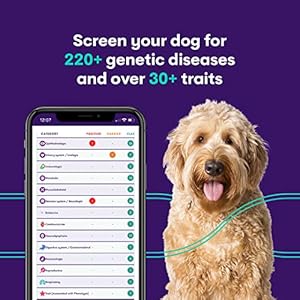 Orivet Dog DNA Test | Comprehensive Dog Breed Test Kit, Genetic Testing and Life Plan GenoPet+ for Canines Orivet Dog DNA Test Comprehensive Dog Breed Test Kit Genetic Testing and Life Plan GenoPet for Canines