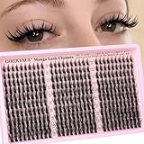 Goddvenus Manga Lash Clusters Natural Wispy 300 Pcs Fairy Eyelash Clusters 10-16mm Fluffy Cluster Eyelash Extensions Anime Cosplay No Plastic Feel Individual Lash Extension CC Curve