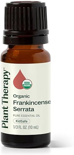 Plant Therapy Aceite esencial de incienso orgánico de serrata 100% puro, certificado por USDA, orgánico, sin diluir, aromaterapia natural, grado