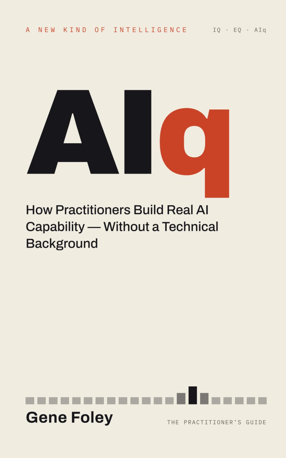 AIq: The Practitioner's Guide to Building Real AI Capability