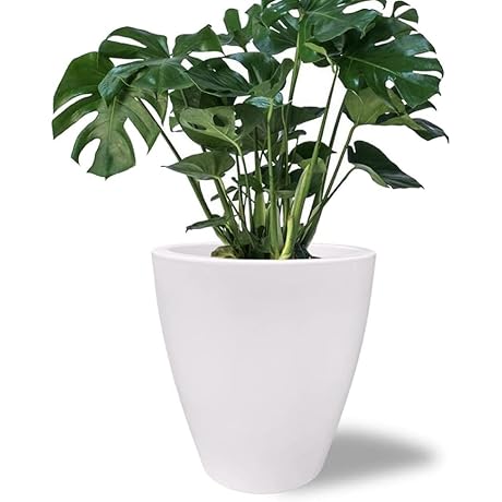 Elly Décor Plastic Outdoor Planter 12x12 inches Round Pot for Monstera