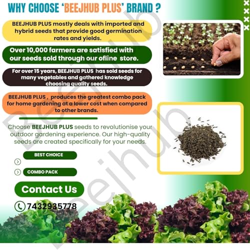 Image of BEEJHUB - Lettuce Seed | 5 Vaieties | Exotic Variety |1200+ Seeds| For Home Gardening | Hydroponic | Lollo Rosso | Iceberg | Batavia | Grand Rapids | Romaine - 220+Seeds Each Variety | Combo Pack