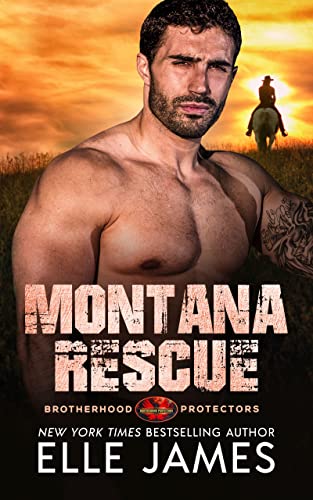 Montana Rescue (Brotherhood Protectors Book 17)