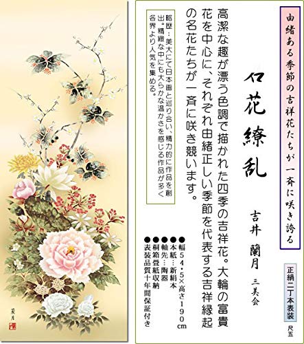 Amazon.co.jp: 掛軸 掛け軸 年中掛け 花 吉井蘭月・名花繚乱 尺