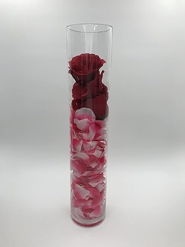 Miniatura 3 de Craft and Party Jarrón de cristal cilíndrico, portavelas de huracán, juego de 1, jarrones cilíndricos transparentes de 8 pulgadas, apertura de 4