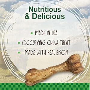 Nylabone Healthy Edibles Wild Natural Longlasting Bison Flavor Bone Chew Treats for Dogs Large 1 Count  Cucciolini Doodles Nylabone healthy edibles wild natural long lasting bison flavor bone chew treats for dogs large 1 count   cucciolini doodles