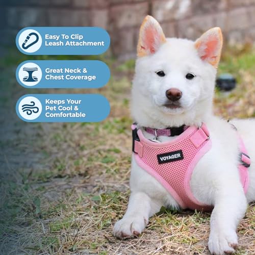 Image of Best Pet Supplies Voyager Step-in Lock Pet Harness w Reflective Pet Leash Combo Set with Neoprene Handle 5ft - Supports Small, Medium and Large Breed Puppies /Cats - Pink, M