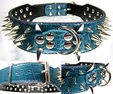 Vert - Aspect croco. tec+ Power Collier à Rivets avec Rivets argentés - Vert 5 cm de Large - 59 cm de Long - Top Edel Spikes, Accessoire pour Chien