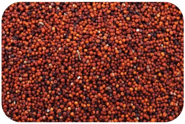 Natural Finger Millet Seeds (Ragi), High Protin & Fiber, Bird Feeding Seeds (1 Kilograms)-image-14
