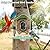Smart Bird Feeder Camera with AI Species ID, Instant Notifications, Ideal Gift for Bird Enthusiasts