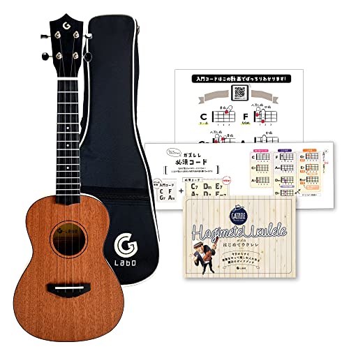 【セール】（エコメルカリ便発送）（ジャンク）　ウクレレ　ケース　弦　のセット Ukulele Case ウクレレケース ウクレレ 楽器 ケース バッグ EVA