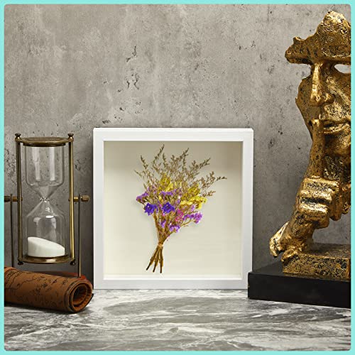 Tuanse 12 Pcs Shadow Box Frame Wood Display Case Shadow Box Frame Shadow Box Picture Frame For Memorabilia, Baby Items, Wedding Memories, Crafts, Tickets And Photos (8 X 8 Inch, White) #TOP4