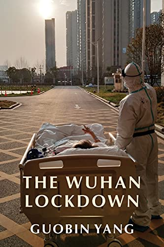 The Wuhan Lockdown view 2