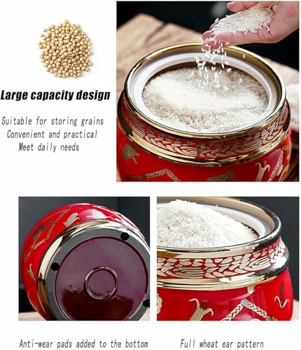 Grande Serbatoio ermetico in Ceramica per Riso, tè e Snack - Dispenser Alimentare sigillato con Coperchio, Ideale per Cereali, Caramelle e Chicchi di caffè - Soluzione per riporre la Cucina