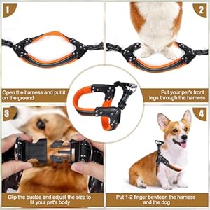 No-Pull Dog Harness- Adjustable, Comfortable Pet Halter Harness,No Choke Pets Padded Mesh Pet Vest Straps, Walk, Train Puppy,Dog Harnesses for Medium Large Dog,Orange,S