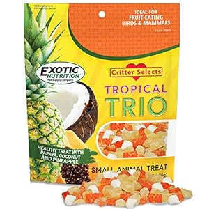 Tropical Trio – Healthy Natural Mixed Dried Fruit Treat – Papaya, Coconut, Pineapple – for Sugar Gliders, Squirrels, Prairie Dogs, Skunks, Marmosets, Parrots, Birds, Rats, Small Pets (4.5 oz.)